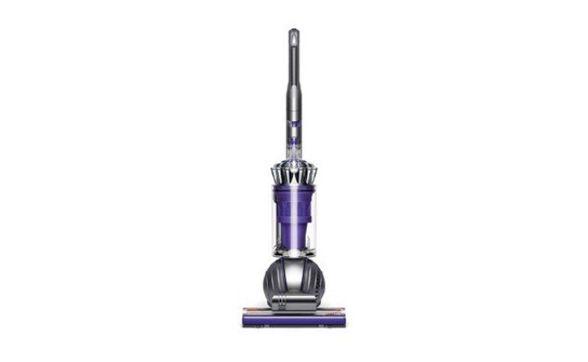 Dyson Ball Animal 2 Nettoyeur vertical