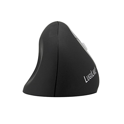 Souris optique ergonomique verticale LuguLake