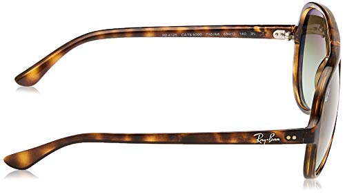 Lunettes de soleil Cats 5000 Aviator