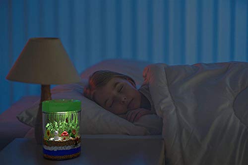 Dan&Darci Light-up Terrarium Kit pour enfants avec lumière LED sur le couvercle