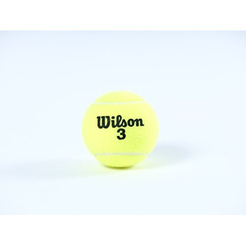 Balles de tennis Wilson Prime All Court