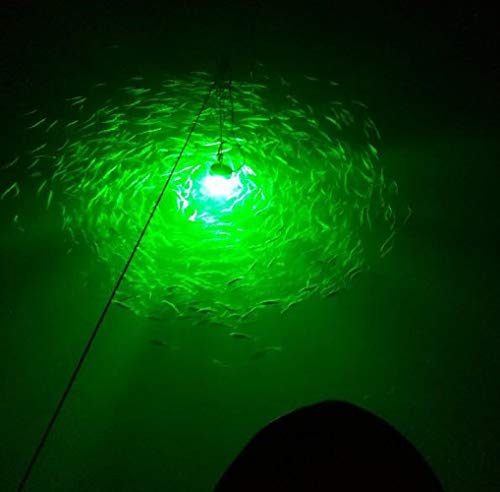 Lampe de pêche sous-marine submersible Lightingsky de Lightingsky