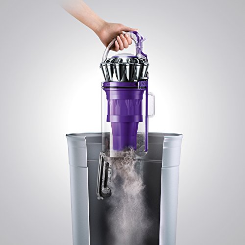 Dyson Ball Animal 2 Nettoyeur vertical