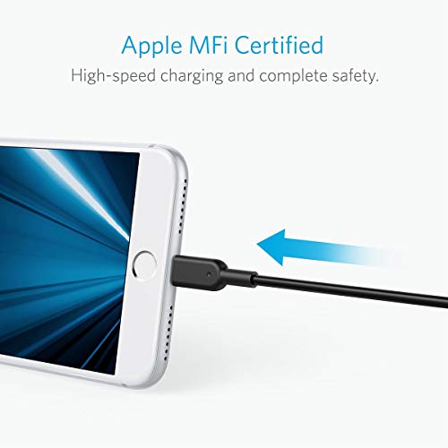Anker Powerline II Lightning Cable Chargeur pour iPhone