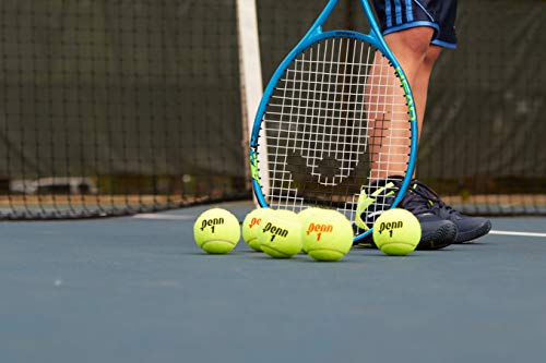 Étui pour balles de tennis Penn 15 boîtes de conserve