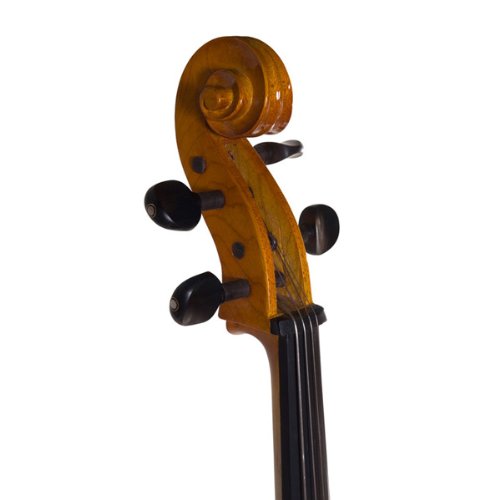 Cecilio 4/4 CECO-1BK Violoncelle électrique