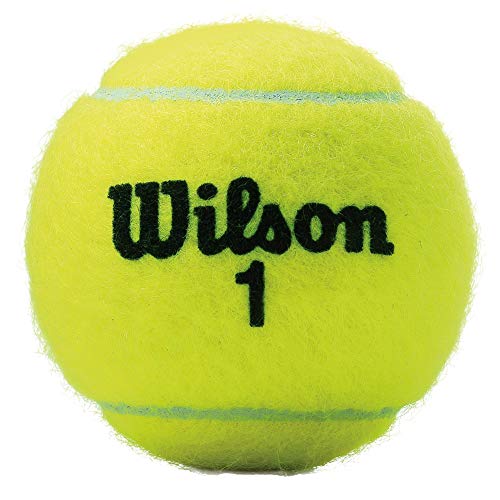 Étui à balles de tennis Wilson Championship Extra Duty