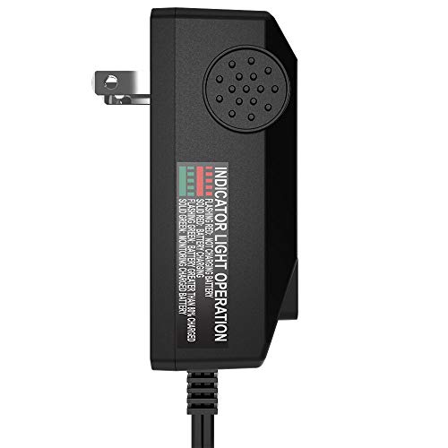 Chargeur de batterie 12 Volt Junior automatique pour voiture