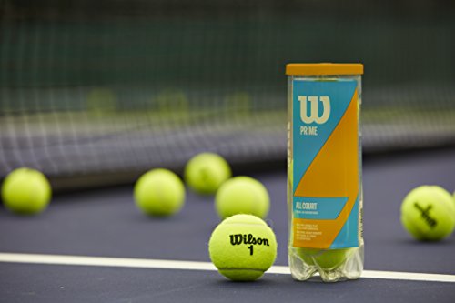 Balles de tennis Wilson Prime All Court