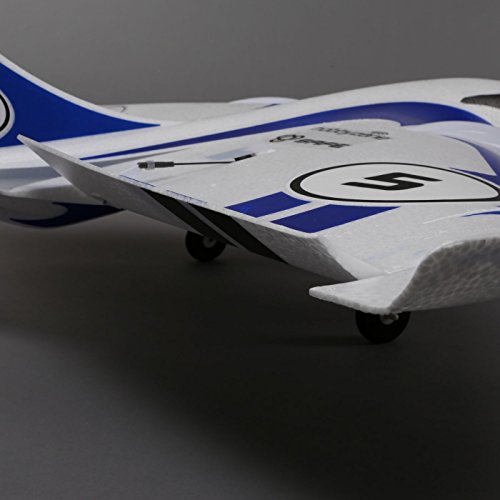 HobbyZone Delta Ray RTF