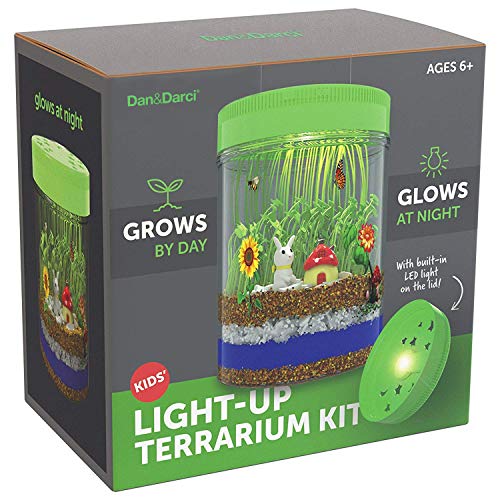 Dan&Darci Light-up Terrarium Kit pour enfants avec lumière LED sur le couvercle