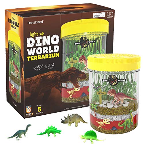 Kit Terrarium Light-Up Dino World