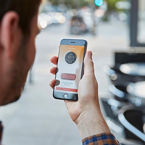 Cuisinière culinaire Anova Sous Vide Precision Cooker