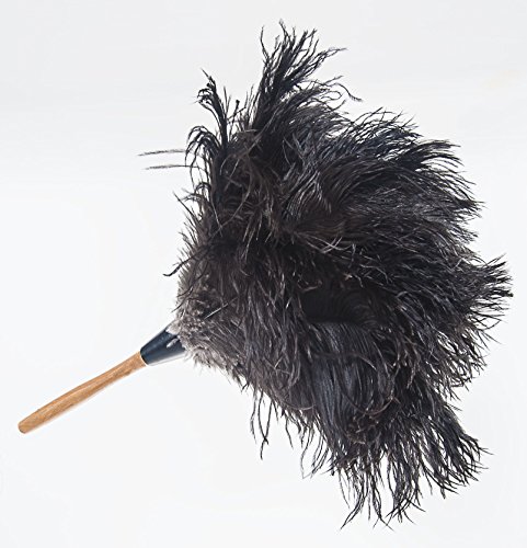 Plumeau de plumes d'autruche royal GM