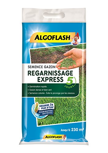 ALGOFLASH Semence Gazon Regarnissage Express