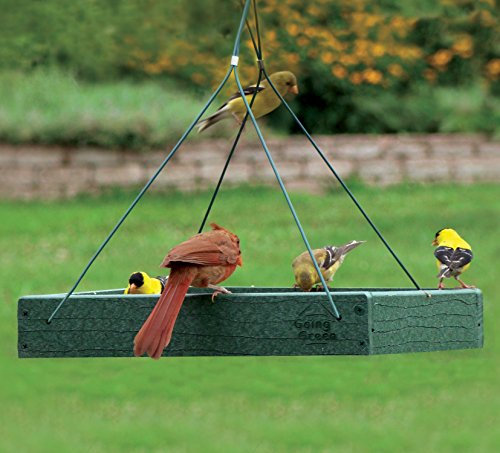 Woodlink - Mangeoire à oiseaux de la plate-forme verte de Woodlink