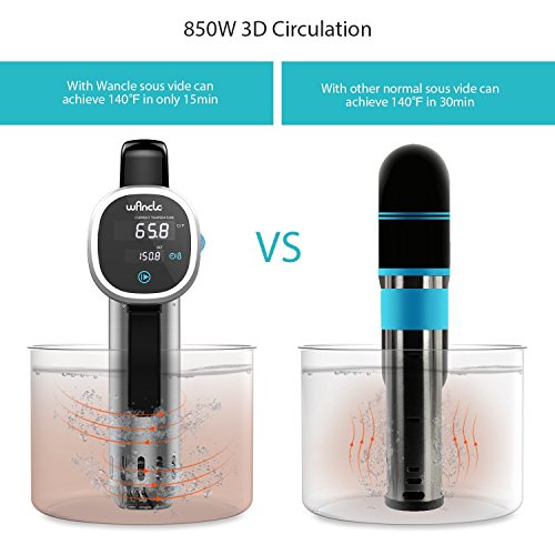 Wancle Dispositif Sous Vide 