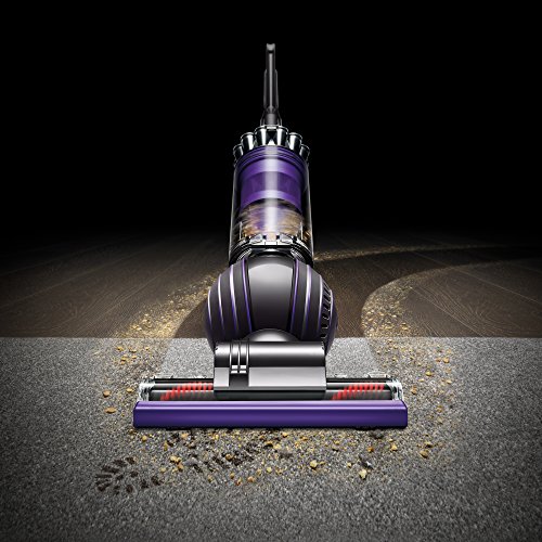 Dyson Ball Animal 2 Nettoyeur vertical