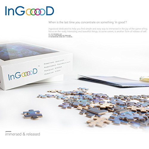 Ingooood - Promenade nocturne sous la pluie - Puzzle de 1000 pièces pour adultes