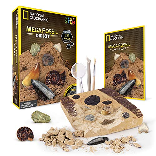 National Geographic - Méga kit de fouille fossile