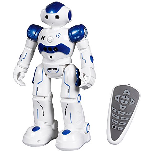 SGILE RC Robot