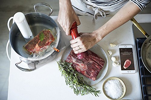 ChefSteps Joule Sous Vide