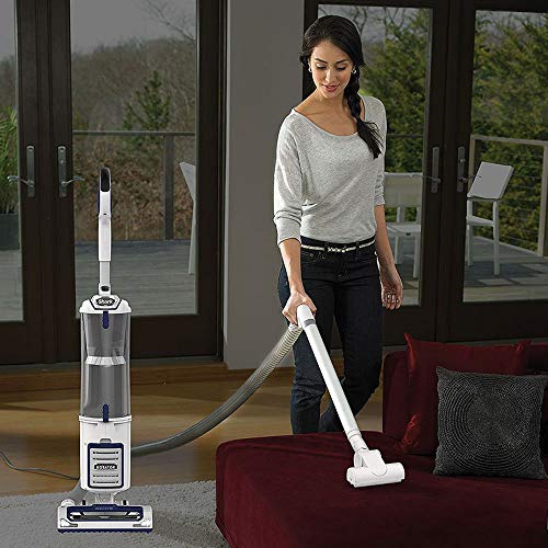 Shark Rotator Professional Aspirateur vertical relevable professionnel