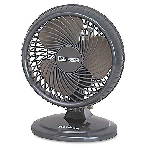 Holmes Lil' Blizzard - ventilateur de bureau oscillant de 8 pouces