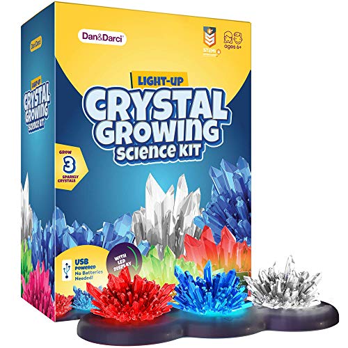 Kit de culture du cristal pour les enfants