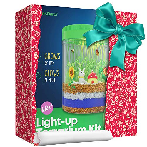 Dan&Darci Light-up Terrarium Kit pour enfants avec lumière LED sur le couvercle