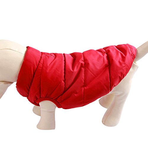 Veste chaude pour chien Joydaog