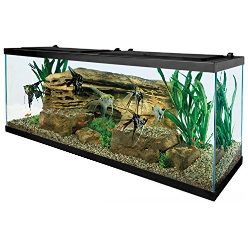 Kit pour aquarium Tetra 55 gallons