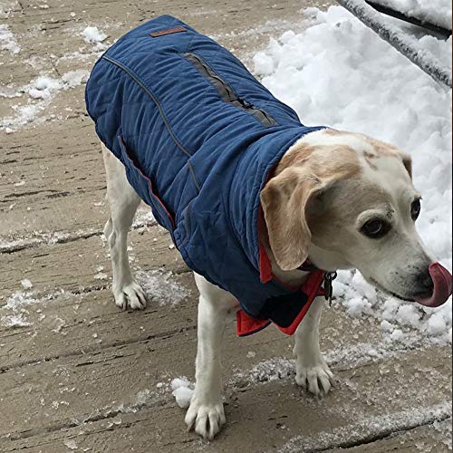 Manteau chaud réversible pour chien ThinkPet