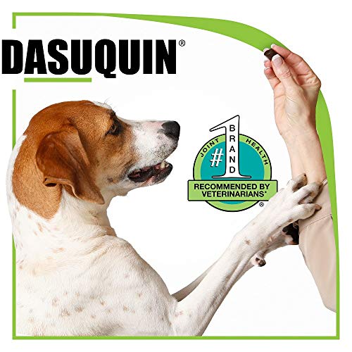 Nutramax Dasuquin avec MSM Chewables Dog Joint Supplement