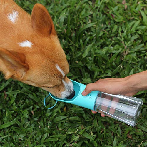 Bouteille d'eau portable pour chien UPSKY