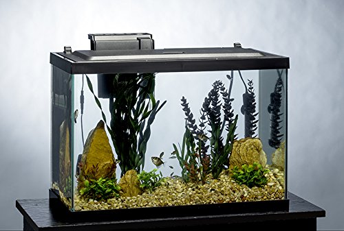 Tetra Aquarium 20 Gallon Fish Tank Kit