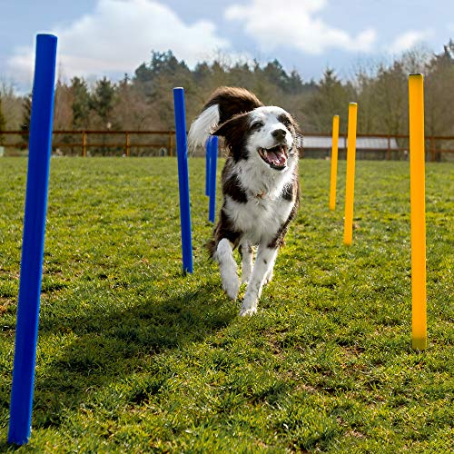 CHEERING PET 28PC Équipement d'agilité pour chiens