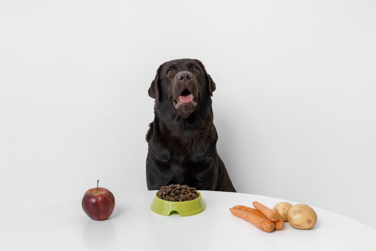 Meilleurs fruits et légumes pour votre chien en automne